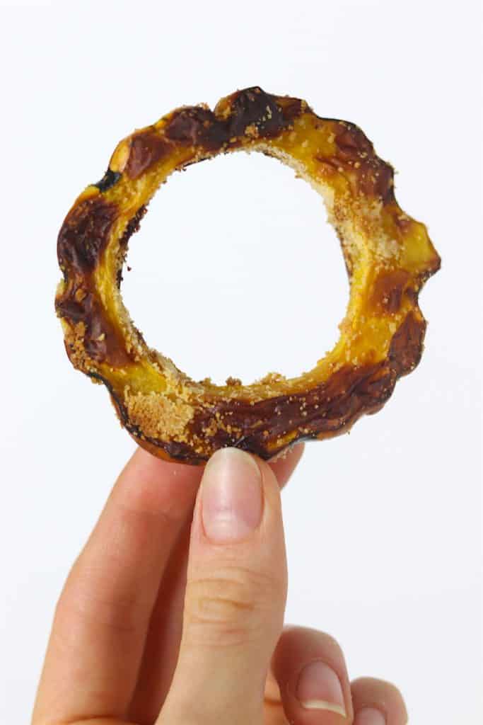 air fried delicata rings