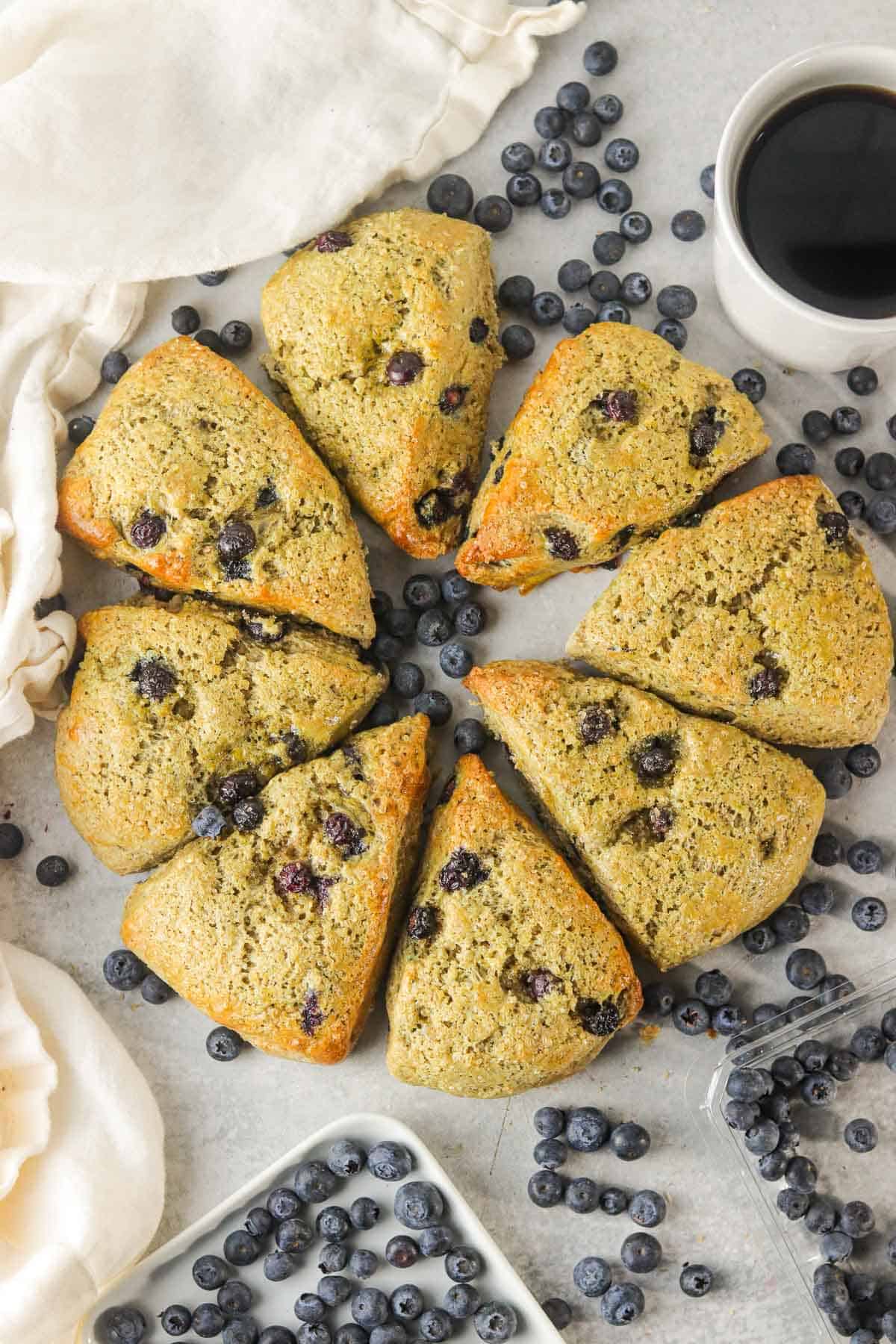 Blueberry yogurt scones in a circle on the counter.