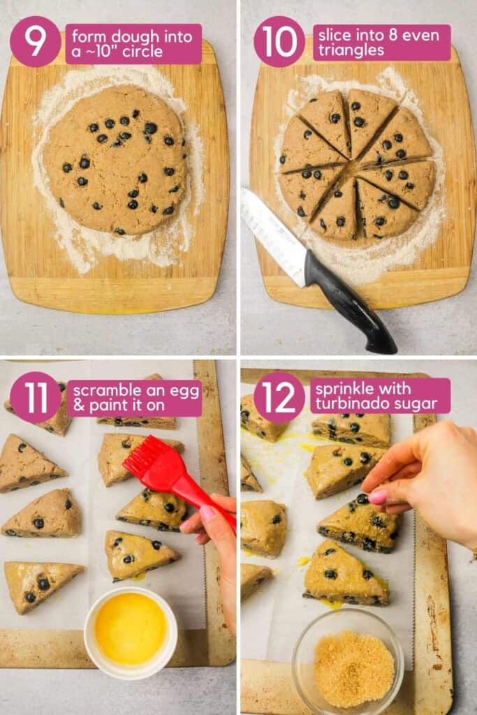 Blueberry Whole Wheat Yogurt Scones Colleen Christensen Nutrition