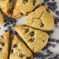 Up close whole wheat blueberry yogurt scones surrounded by blueberries