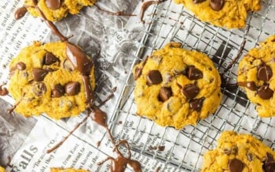 15 minute chocolate chip pumpkin cookies