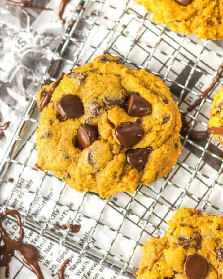 chocolate chip pumpkin cookie on a cooling rack over newspaper.