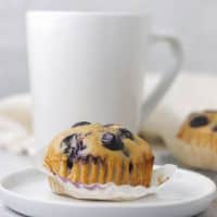 blueberry protein muffins