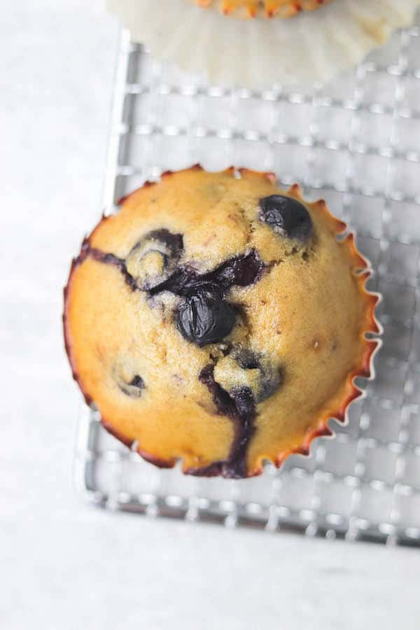 blueberry protein muffins