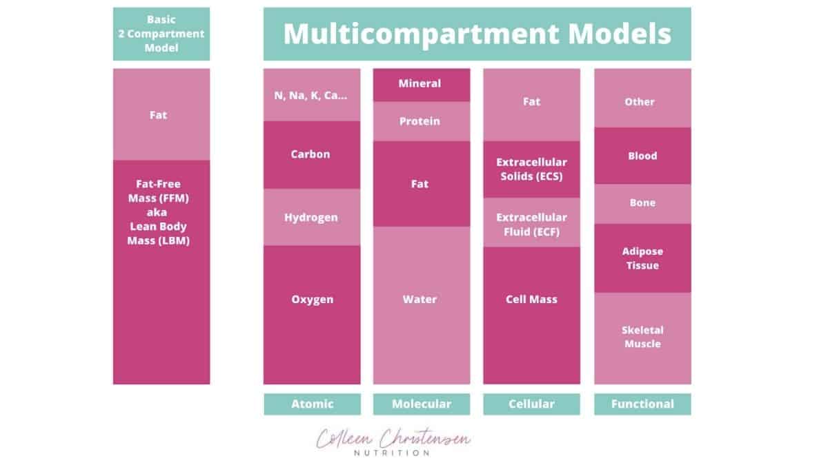 Diagram of the 2 compartment method VS multi-compartment method of body composition.