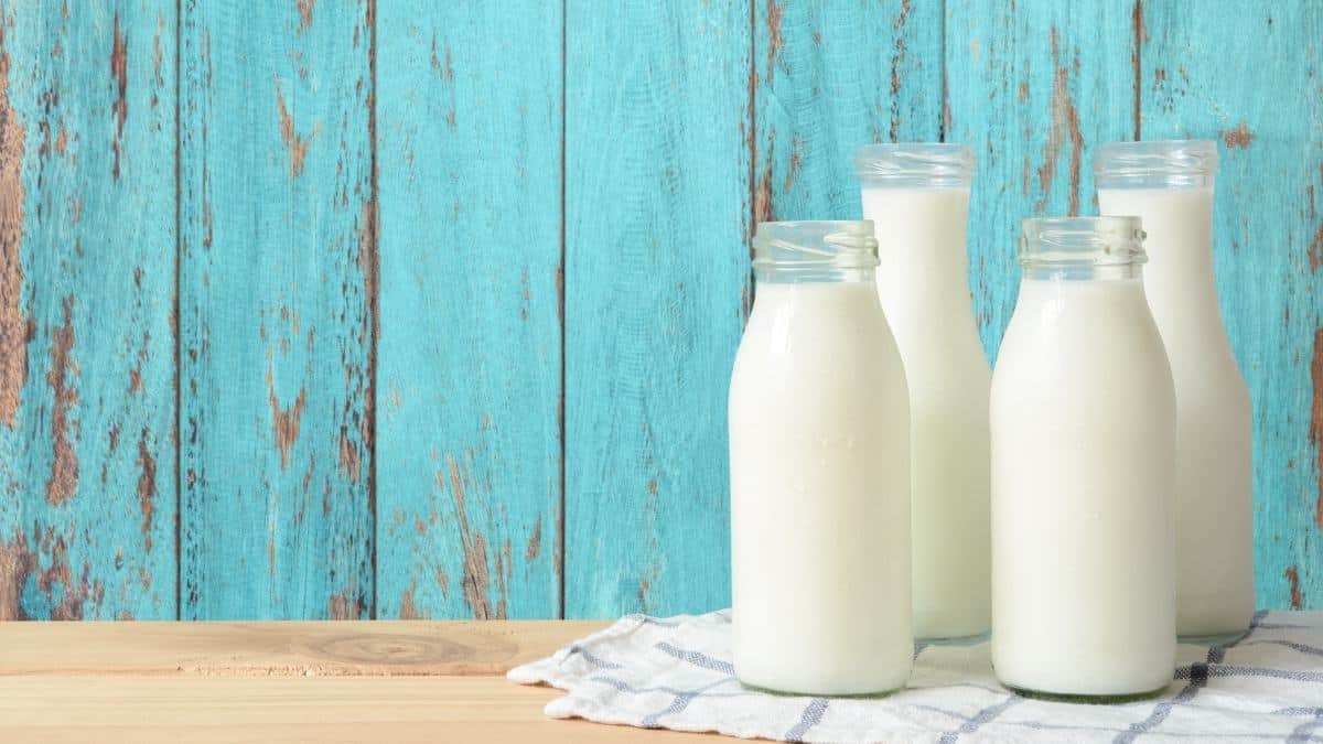 Jars of milk on the counter.