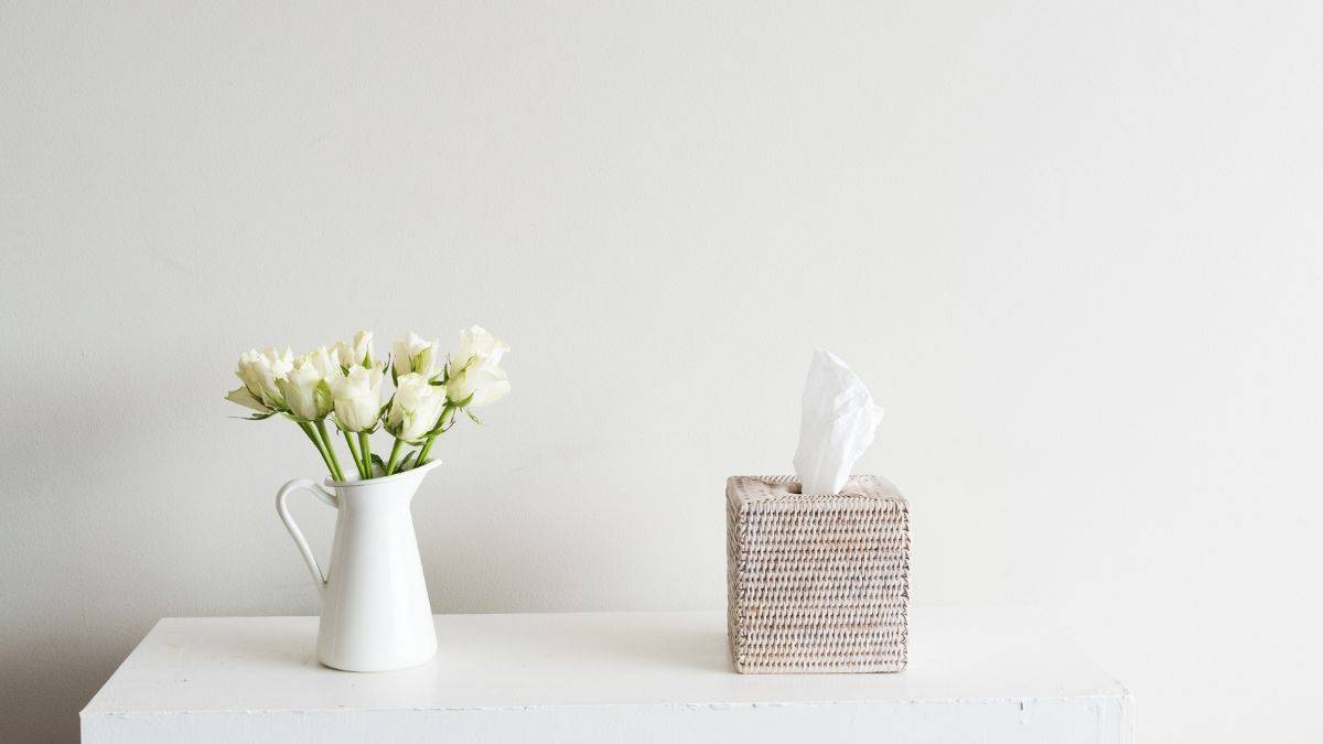 Tissues and tulips on the counter for when you are sick.