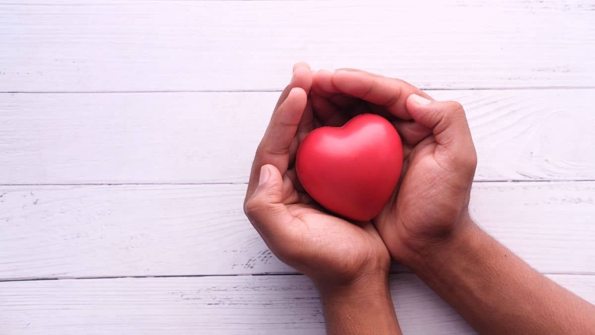 Hands holding a red heart.