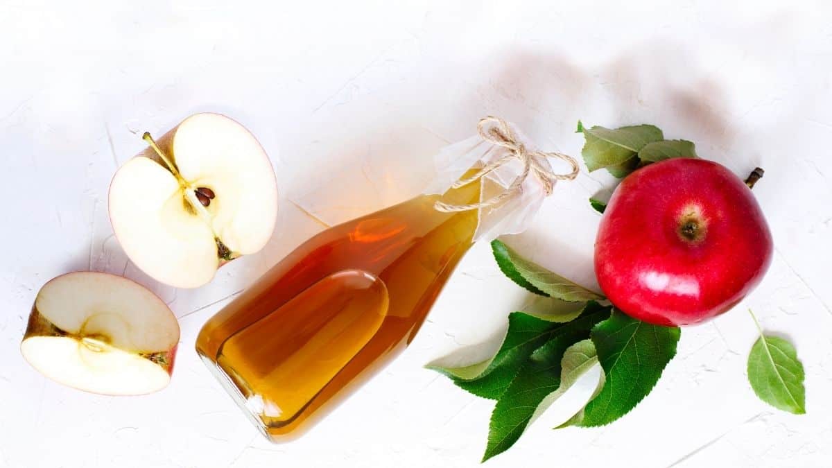 a bottle of apple cider vinegar with apples and leaves on a white background.