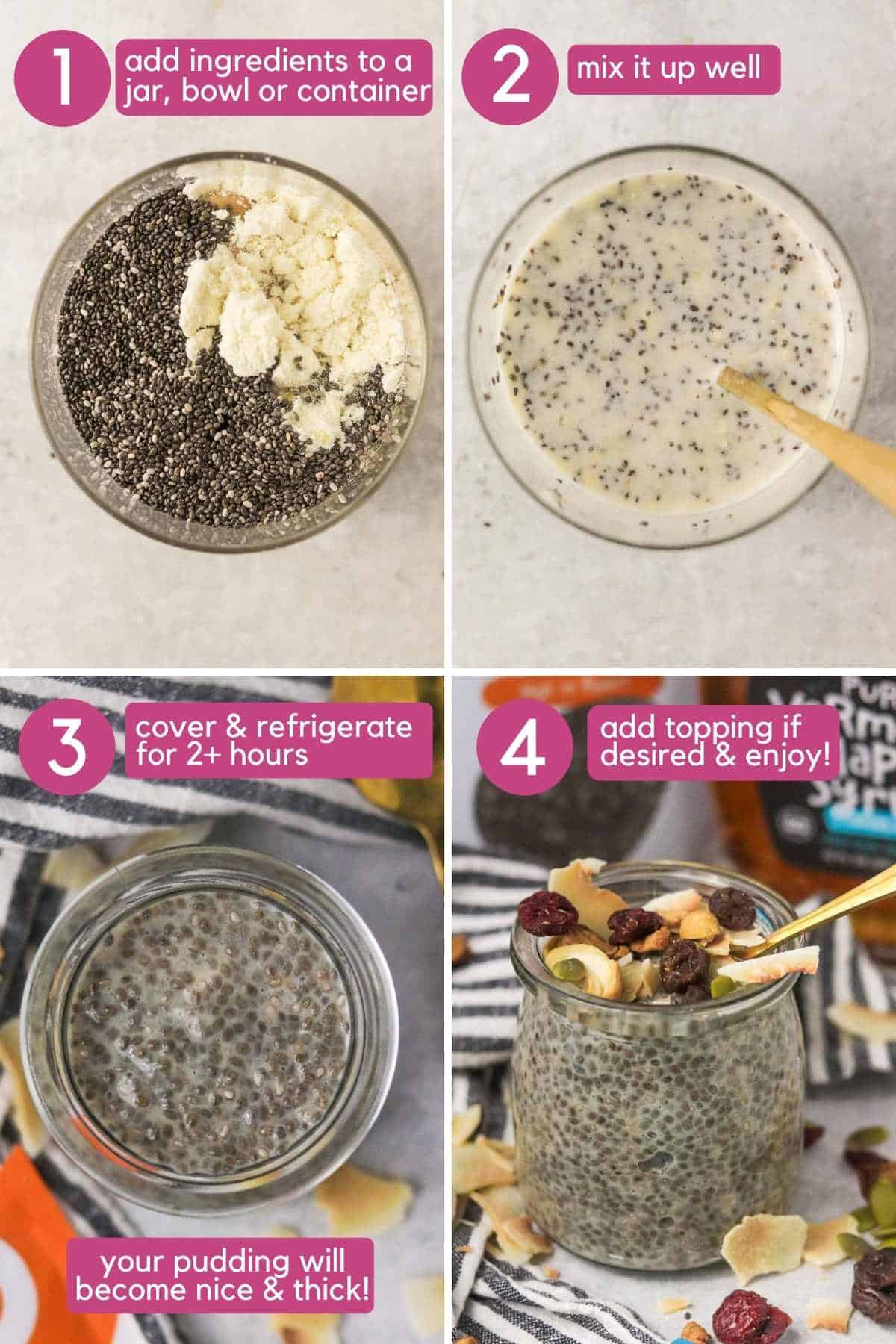 4-Ingredient Chia Pudding {High Protein} - The Girl on Bloor