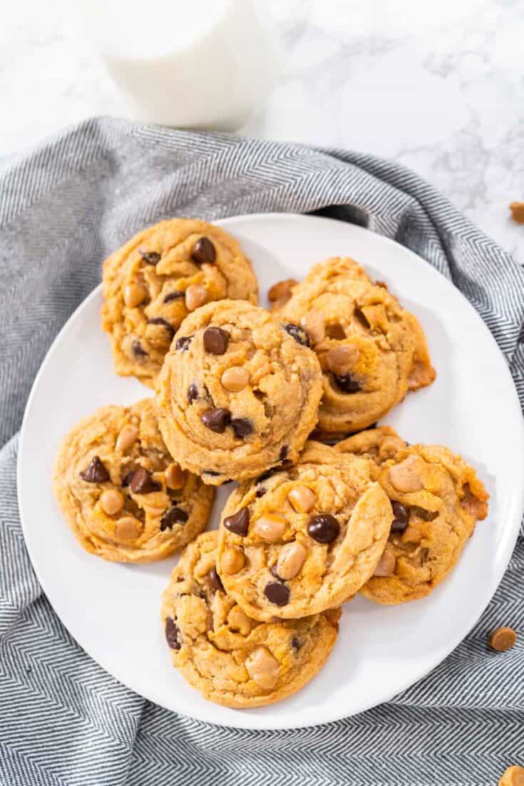 Chewy Chocolate Chip Butterscotch Cookies - Colleen Christensen Nutrition