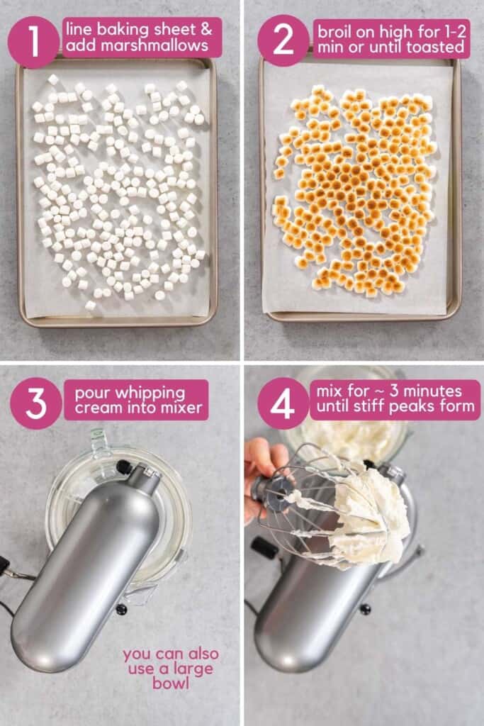 NoChurn Toasted Marshmallow Ice Cream Colleen Christensen Nutrition