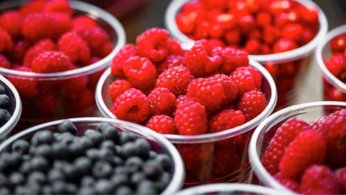 bowls of blueberries and raspberries in clear containers; approved for the Thermodiet.