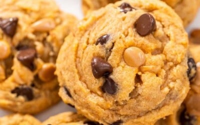 ready in just 15 minutes butterscotch cookies.