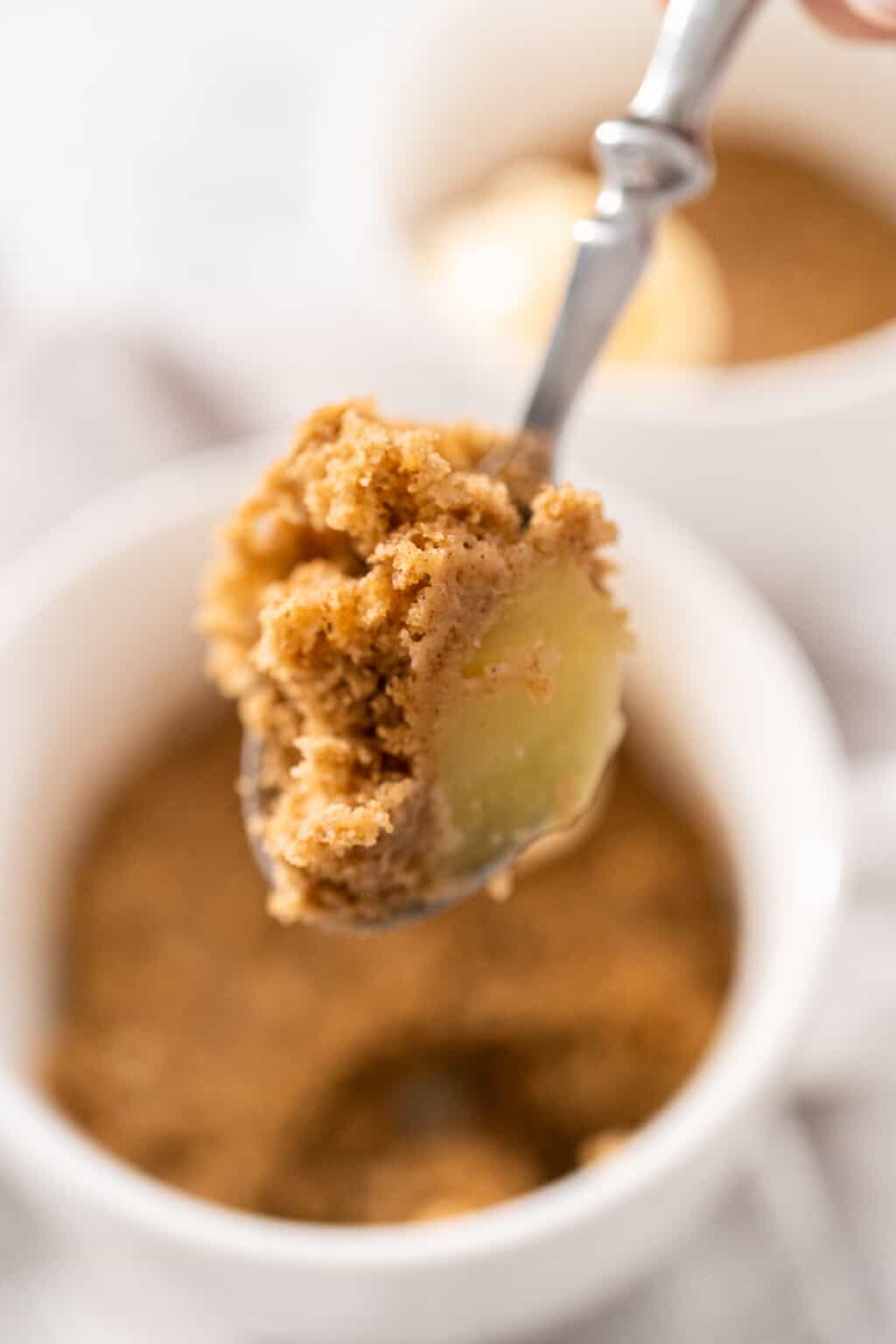 Oatmeal Apple Mug Cake Colleen Christensen Nutrition