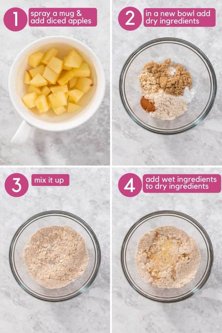 Oatmeal Apple Mug Cake Colleen Christensen Nutrition