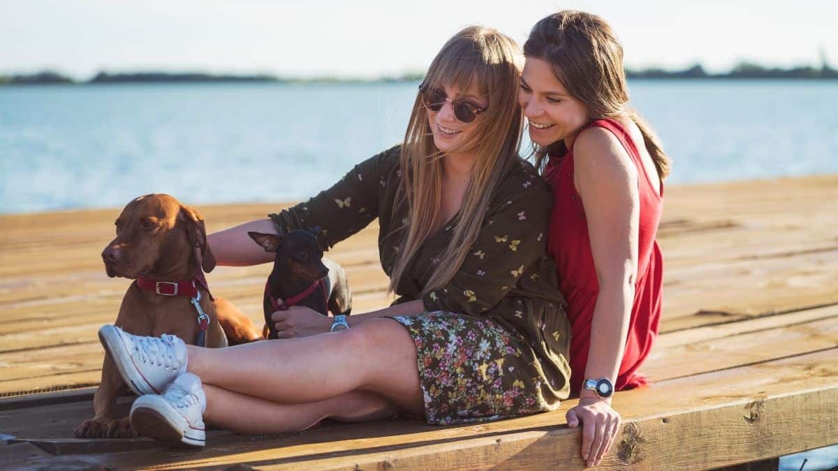 Two women sitting on a dock petting their dogs.