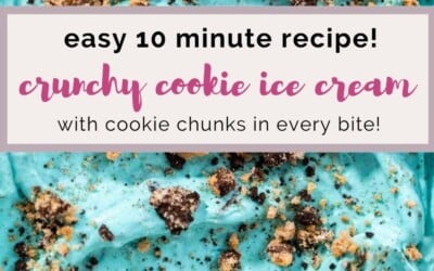 easy 10 minute recipe crunchy cookie ice cream.