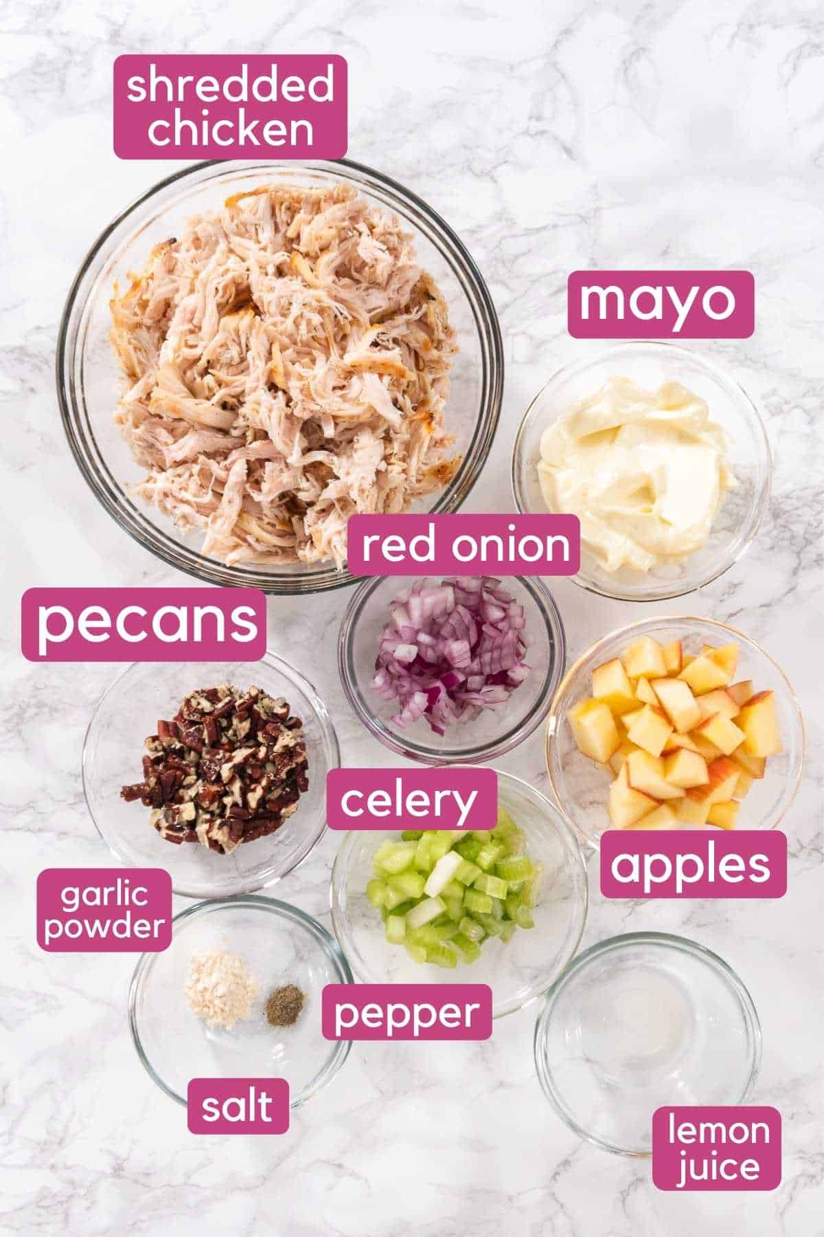 Apple Pecan Chicken Salad Ingredients.