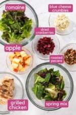 Copycat Wendy's Apple Pecan Salad - Colleen Christensen Nutrition