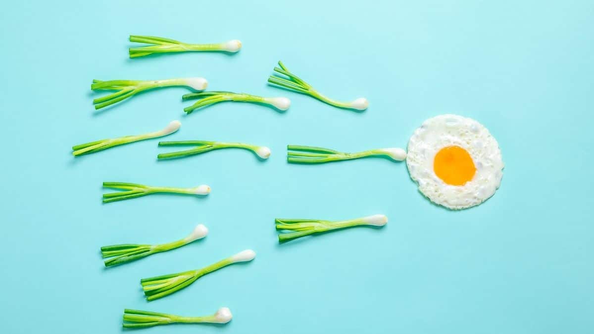 an egg on a blue background with green onions swimming towards it, meant to look like sperm fertilizing an egg.