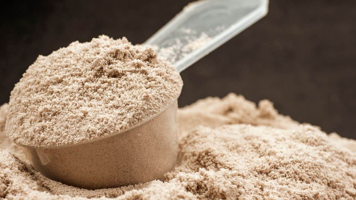 a plastic scoop full of chocolate protein powder.