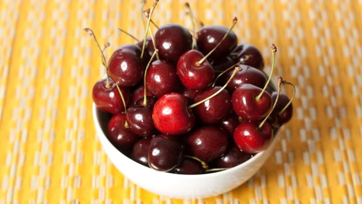 a white bowl of fresh cherries on a yellow and white background.