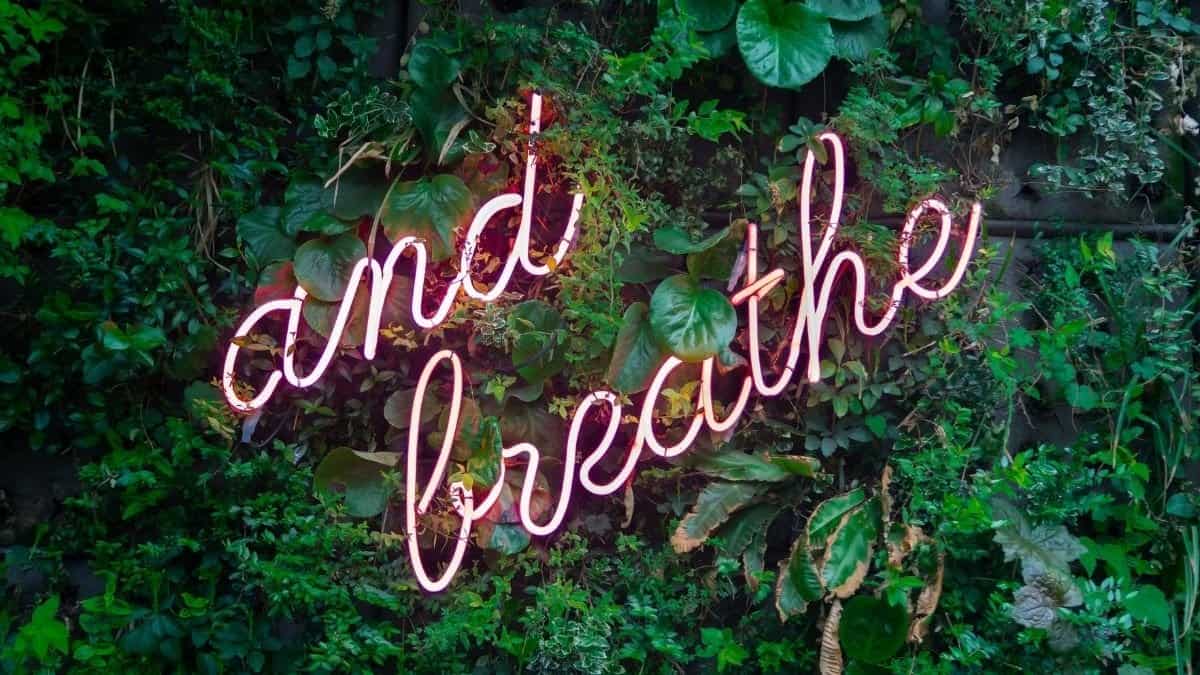 a pink neon sign that says breathe in front of lush greenery.