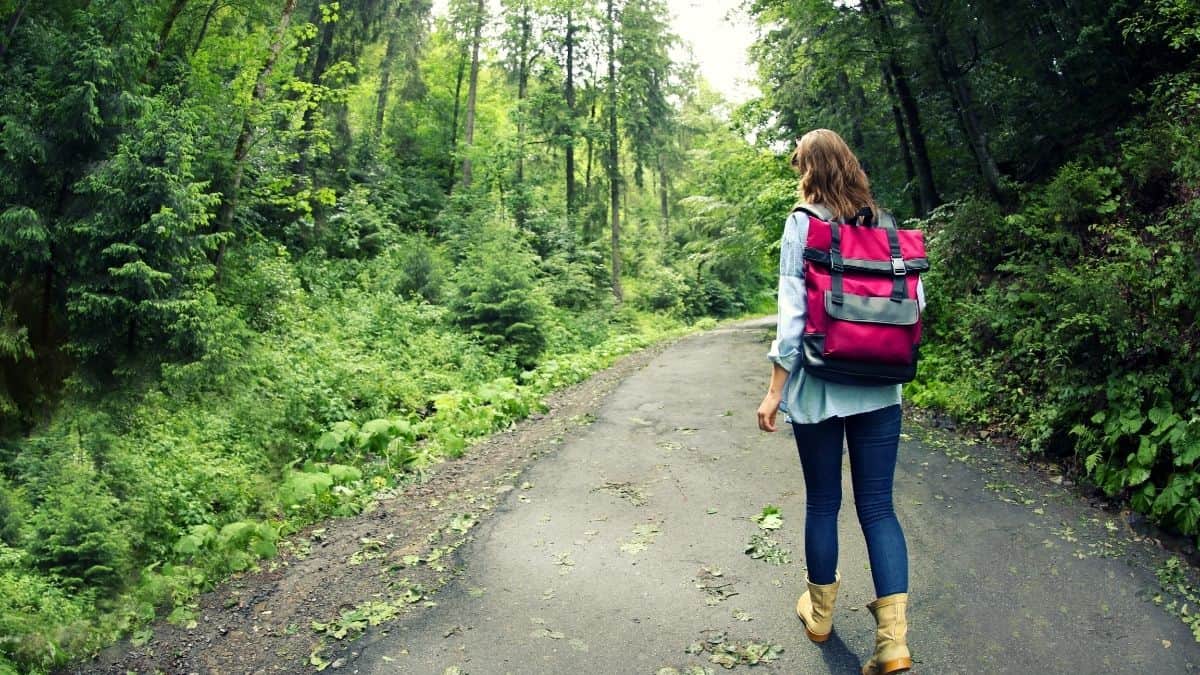 a woman with her back to the camera walking through a lush forest, an intuitive exercise for her.