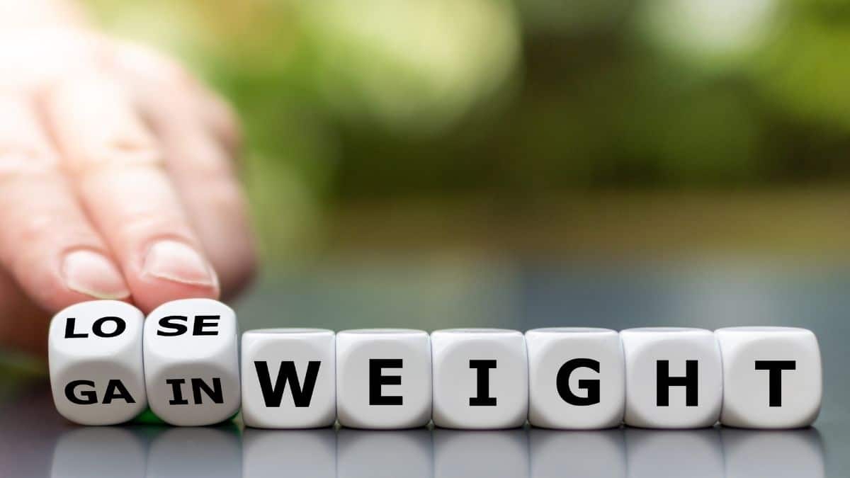 lose and gain weight is spelled out on white dice in black letters.