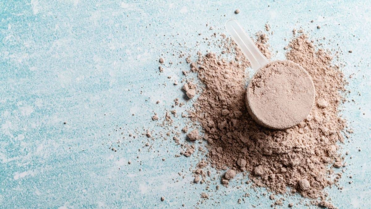 https://colleenchristensennutrition.com/wp-content/uploads/2022/05/scoop-of-protein-powder-on-blue-table..jpg