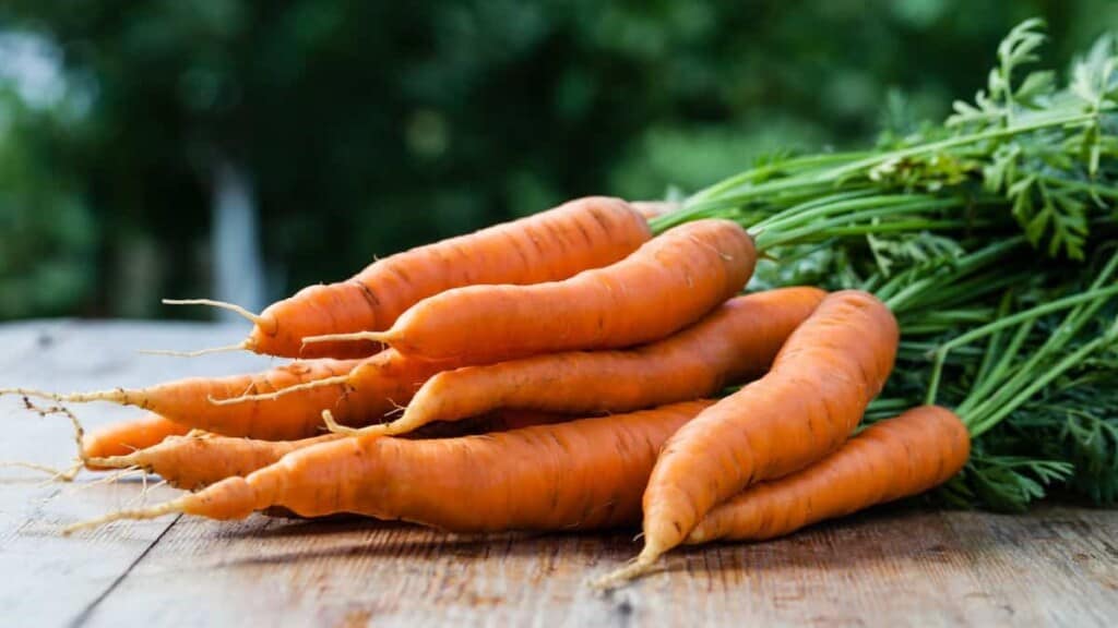 bunch-of-carrots-on-a-wooden-table.