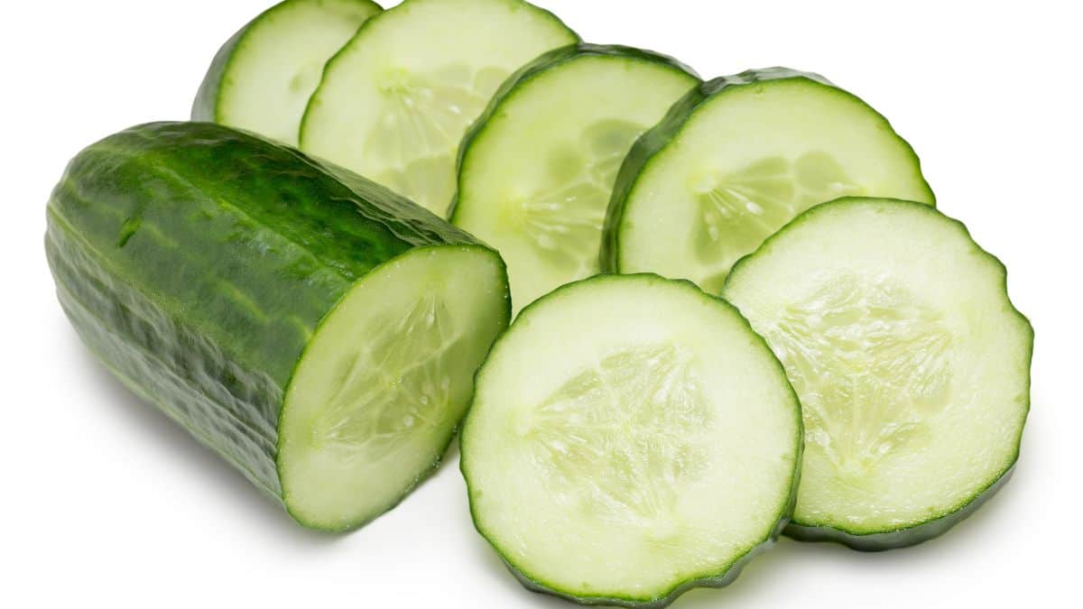 half of a cucumber and slices on white background.