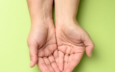 the pros and cons of hand portion sizes.
