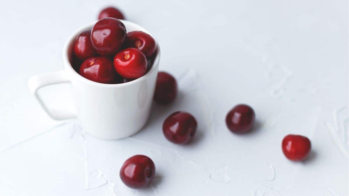 white mug filled with plump cherries.